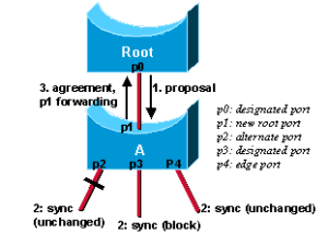 rstp